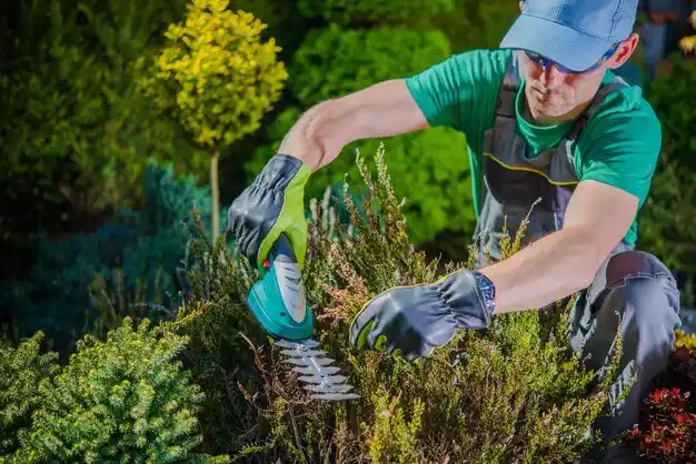 landscaping services Eureka